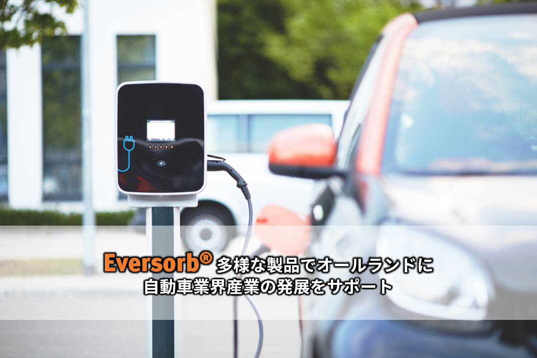 Eversorb シリーズ - 多様な製品でオールランドに自動車産業の発展をサポート